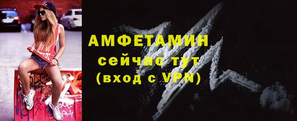 крисы Абаза