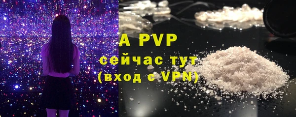 крисы Абаза