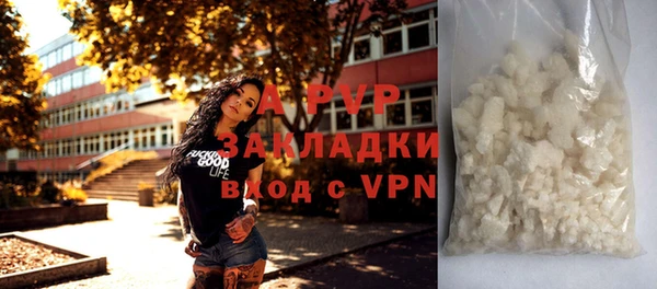 крисы Абаза