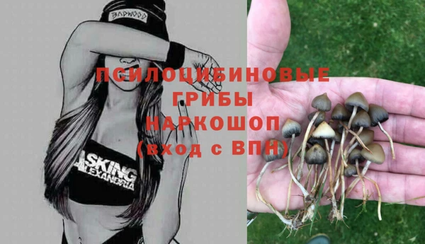 кристаллы Нягань