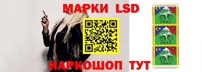 индика Абакан