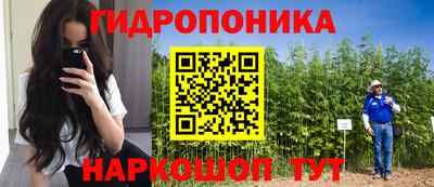 эйфоретик Пушкино