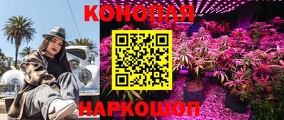 молекула духа Пугачёв